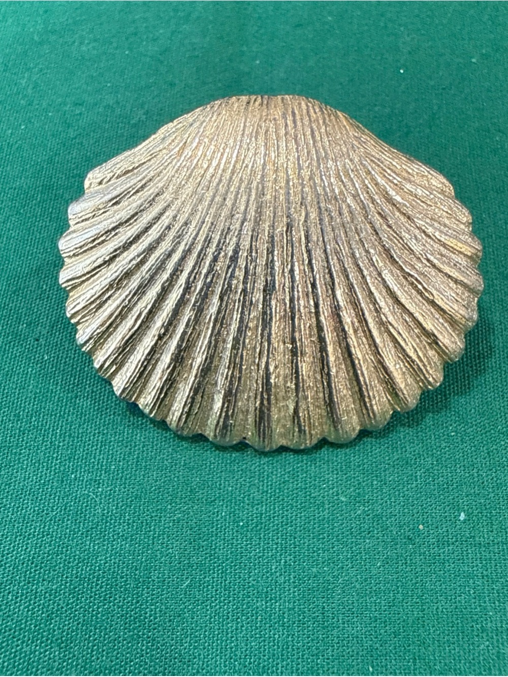 Gold Tone Ribbed Shell Pin. 124B